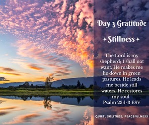 gratitude for stillness