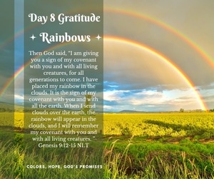 gratitude-day8-rainbows