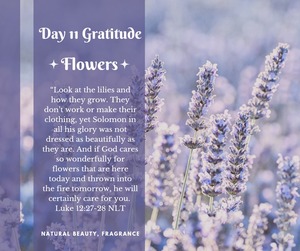 gratitude-day11-flowers