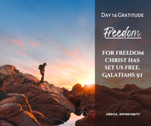 gratitude-day14-freedom